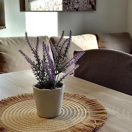 Apartament Morini